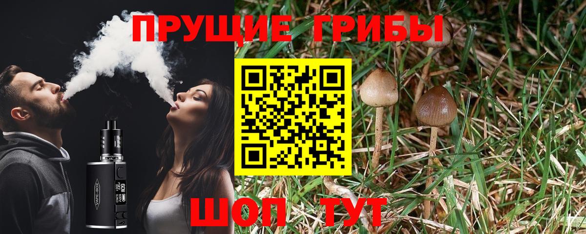 Alpha-PVP СК кристаллы  Вход с VPN  Купить наркотик  Меф МЯУ МЯУ   Знаменск  ГАШ 
